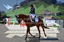 ref. photo 3550589
