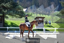 ref. photo 3550590