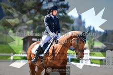 ref. photo 3550591
