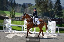 ref. photo 3550593