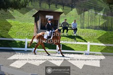 ref. photo 3550594