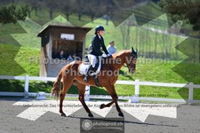 ref. photo 3550597