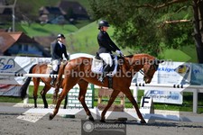 ref. photo 3550599