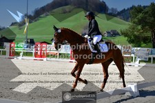 ref. photo 3550600
