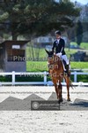 ref. photo 3550601
