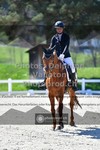 ref. photo 3550602