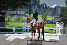 ref. photo 3550604