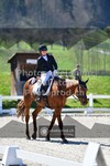 ref. photo 3550609