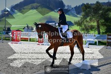 ref. photo 3550611