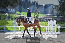 ref. photo 3550612
