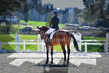 ref. photo 3550615