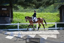 ref. photo 3550617