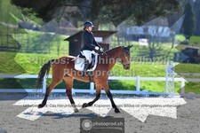 ref. photo 3550619
