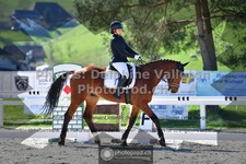 ref. photo 3550622
