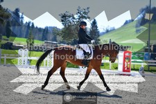 ref. photo 3550624