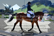 ref. photo 3550628