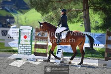 ref. photo 3550629