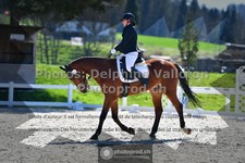 ref. photo 3550632