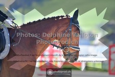 ref. photo 3550635