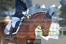 ref. photo 3550645