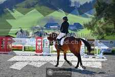ref. photo 3550646