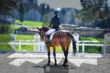 ref. photo 3550648