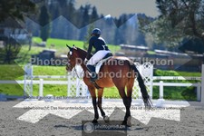 ref. photo 3550650