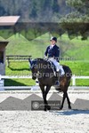 ref. photo 3550675