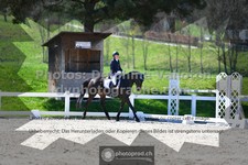 ref. photo 3550679