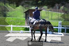 ref. photo 3550684