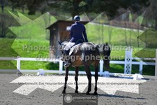 ref. photo 3550685