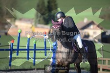 ref. photo 3550701