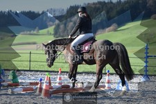 ref. photo 3550704