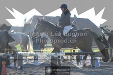 ref. photo 3550706