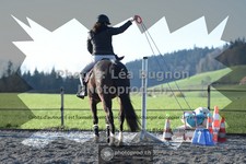 ref. photo 3550708