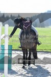 ref. photo 3550720