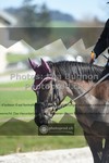 ref. photo 3550738