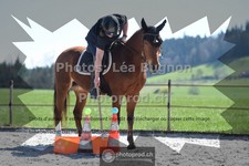 ref. photo 3550751