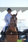 ref. photo 3550787
