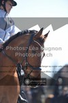 ref. photo 3550790