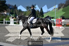 ref. photo 3550803