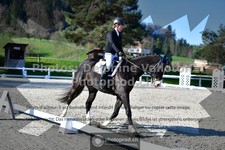 ref. photo 3550814
