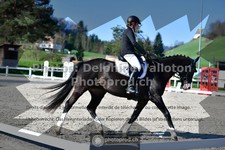 ref. photo 3550815