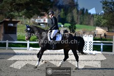 ref. photo 3550823