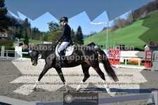 ref. photo 3550836