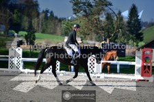 ref. photo 3550837