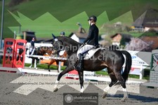 ref. photo 3550842