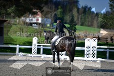 ref. photo 3550843