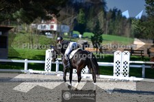 ref. photo 3550844