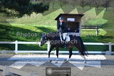 ref. photo 3550846